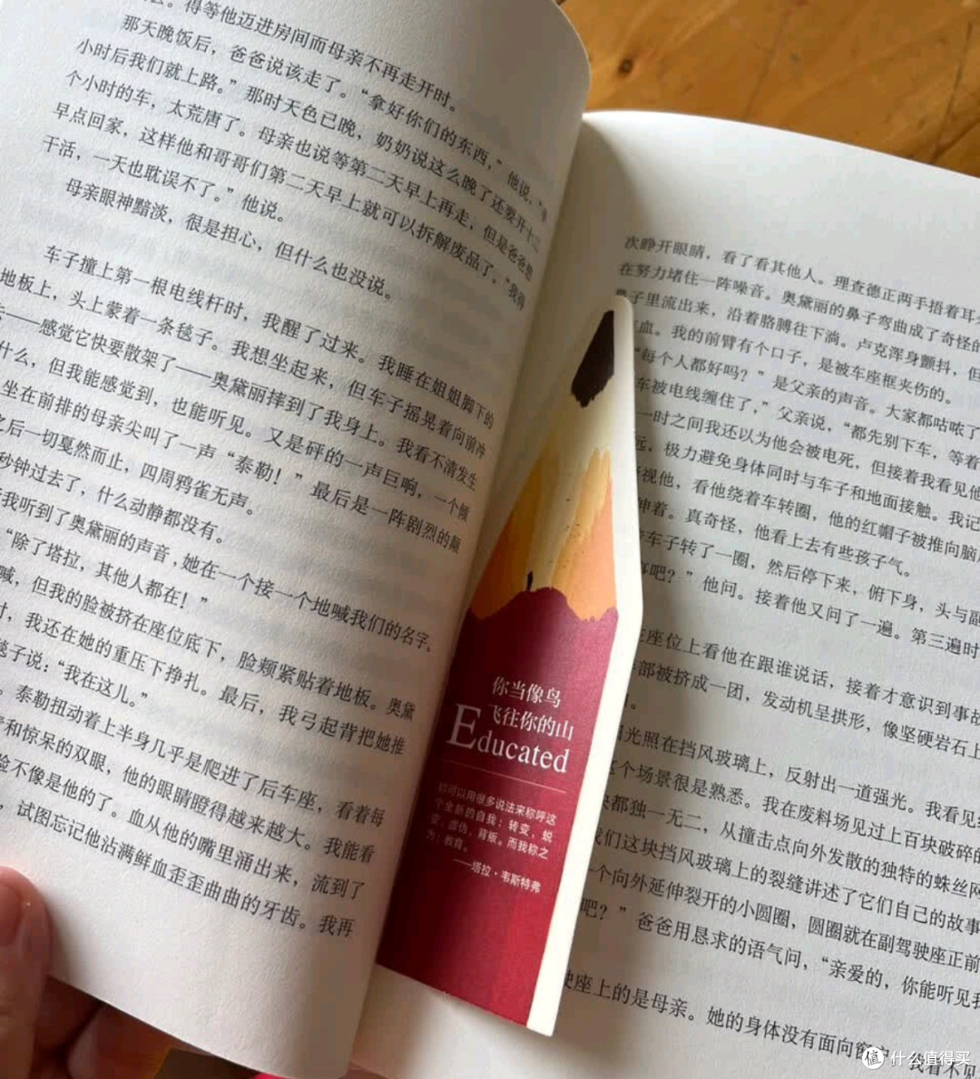 《你当像鸟飞往你的山》：贫困与教育的深刻剖析