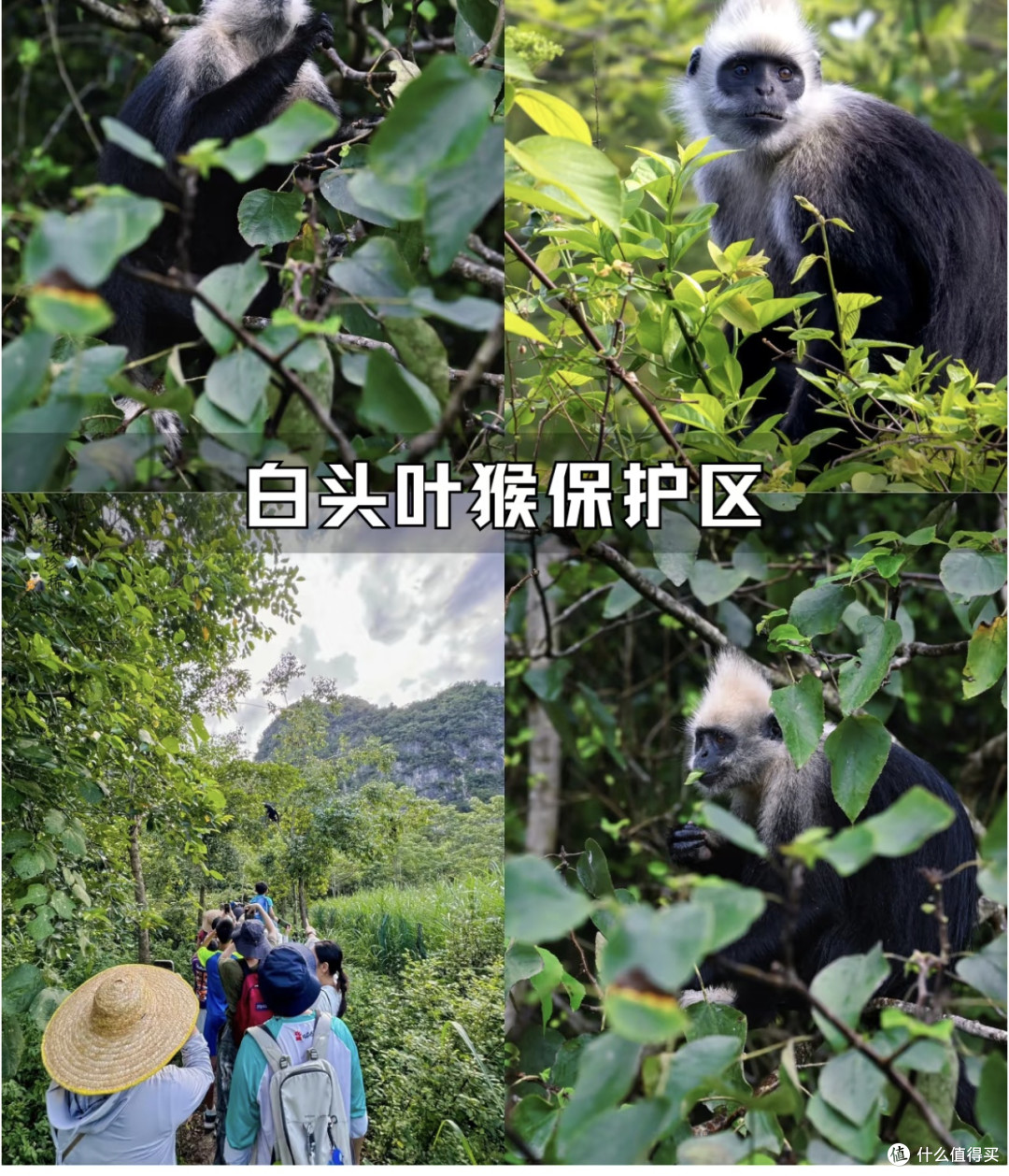 广西小众秘境亲子游路线