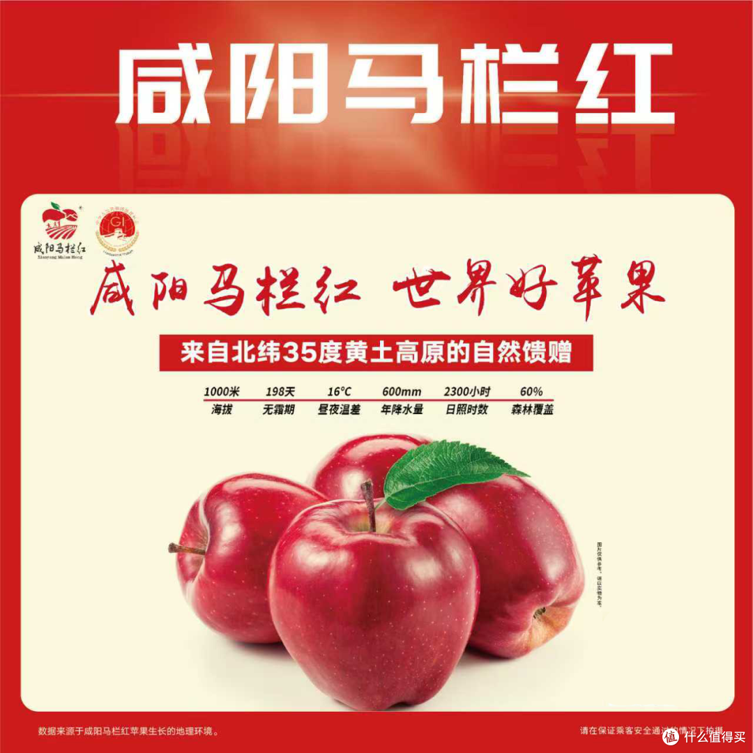 “咸阳马栏红”亮相天津地铁1号线 以“果”为桥连津咸谱新篇