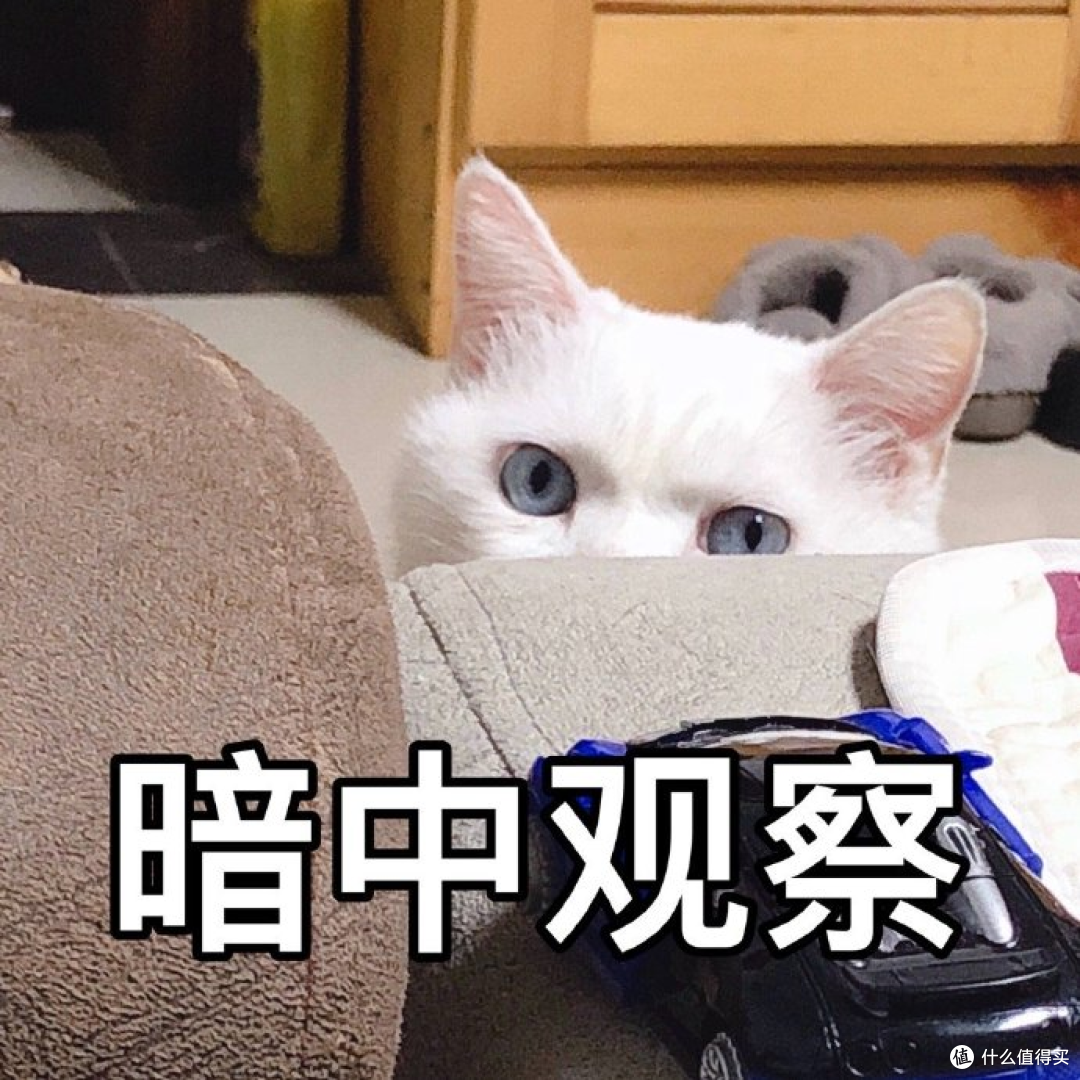 小雨伞背后的秘密!国产小雨伞如何突破国外技术垄断?赤尾探厂