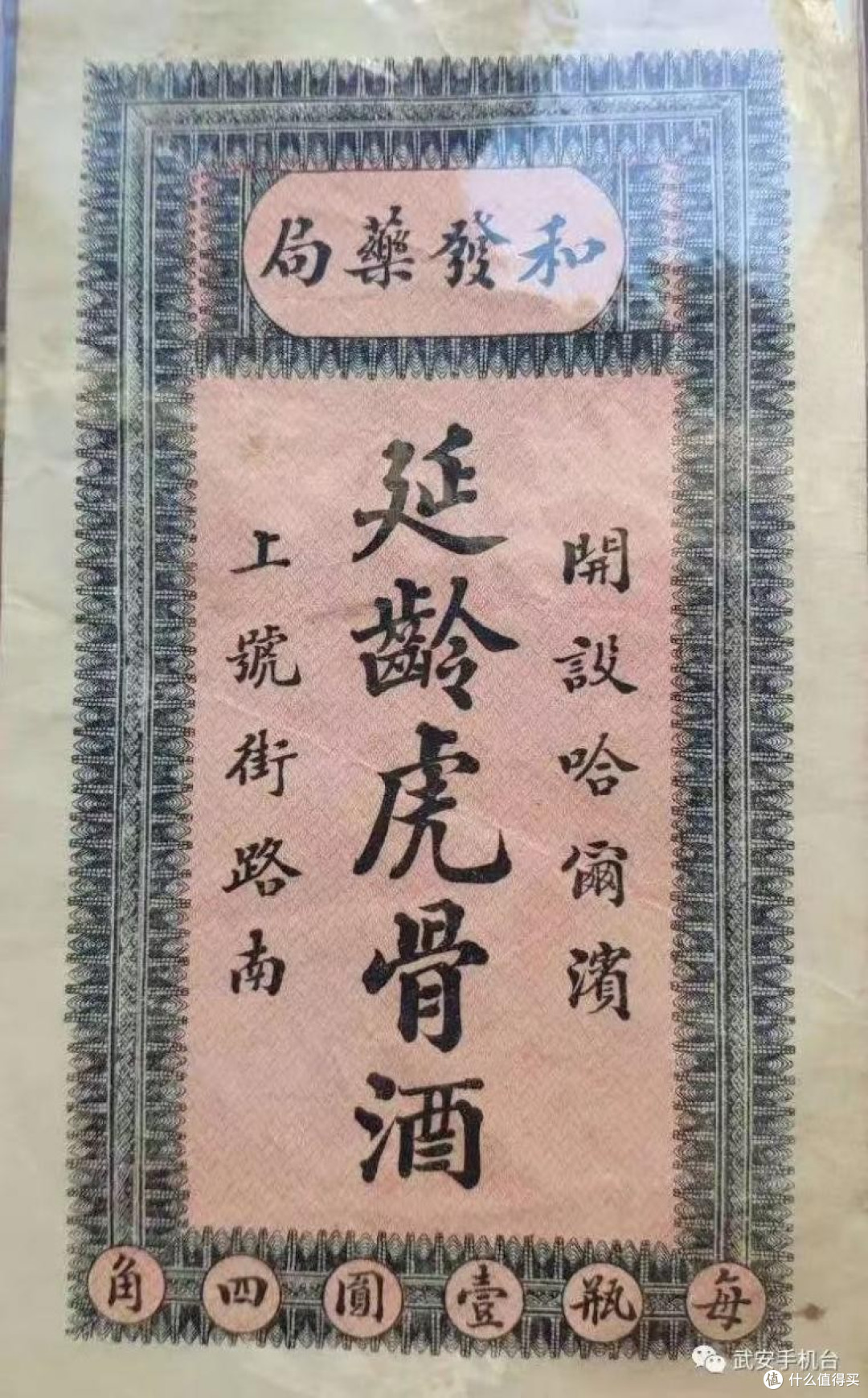 国参新章·生态匠心——吉林森工集团启航长白山人参产业新征程
