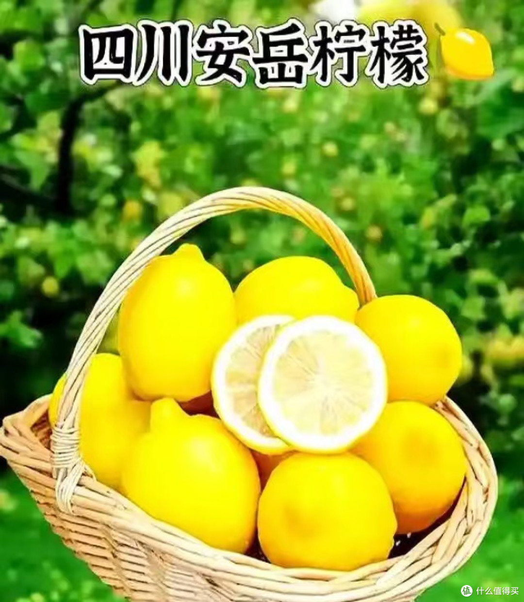 最近是不是觉得蜜雪柠檬水变苦了?