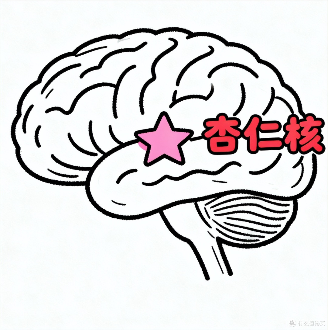 🌿 不主动联系=冷漠?你可能误解了回避型人格
