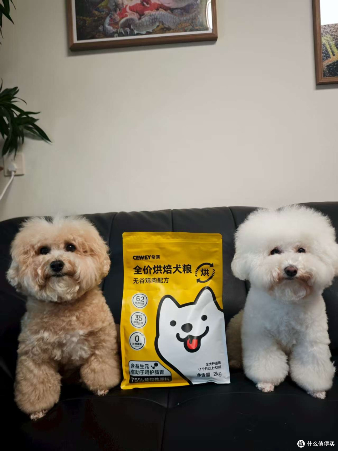 踩过十多个坑后!聊聊刚换的希喂烘焙狗粮,长肉还能护胃!