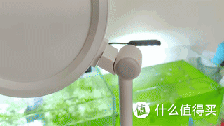 台灯不仅是照亮!书客护眼台灯实测:均匀自然光,全光谱养护视力