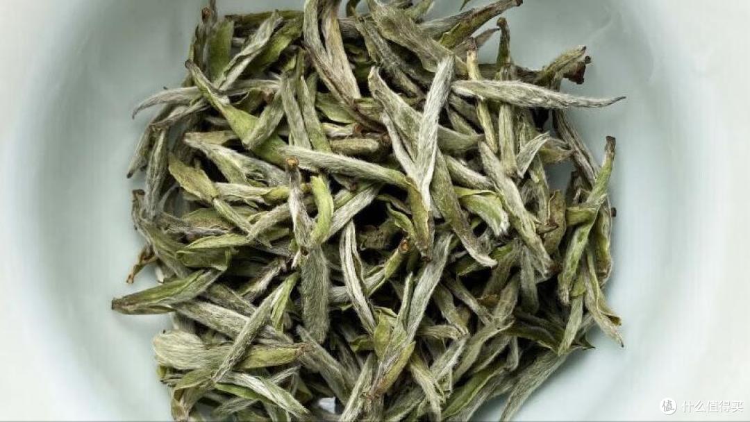 白茶是什么茶?哪的最好喝?一次讲清楚