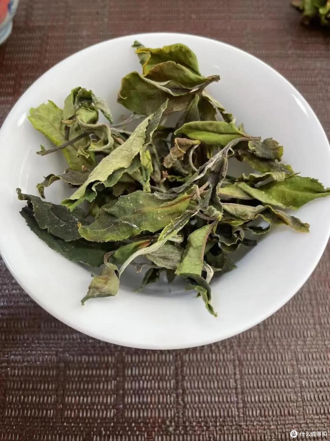 白茶是什么茶?哪的最好喝?一次讲清楚