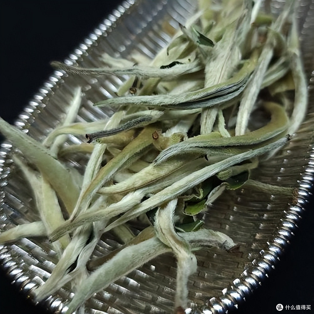 白茶是什么茶?哪的最好喝?一次讲清楚