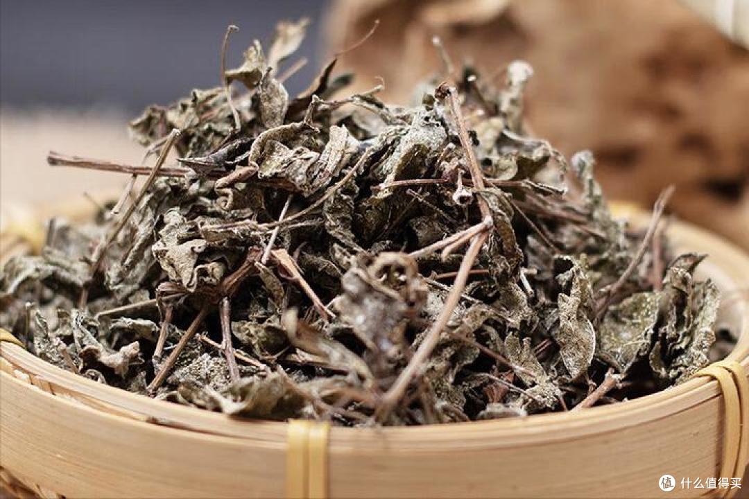 白茶是什么茶?哪的最好喝?一次讲清楚
