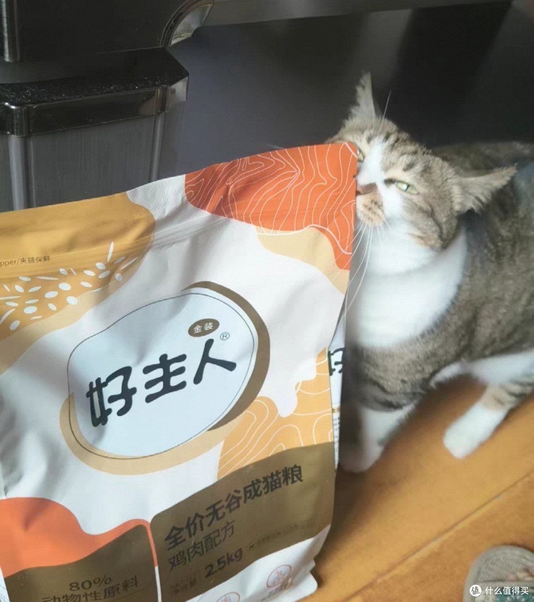 双十一养宠清单推荐