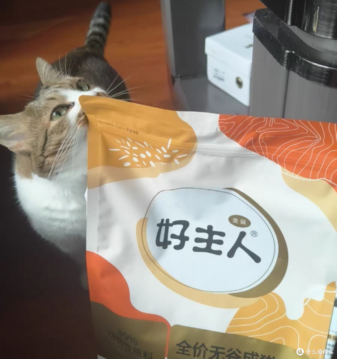 双十一养宠清单推荐