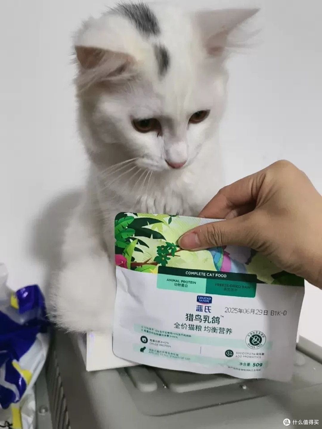 蓝氏猎鸟乳鸽猫粮深度体验