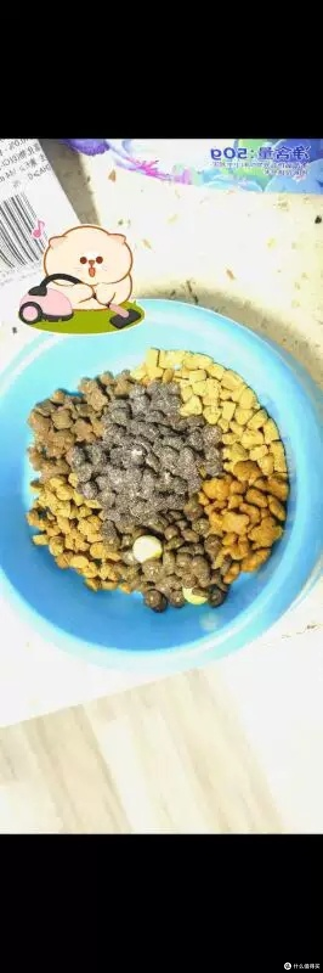 蓝氏猎鸟乳鸽猫粮喂养体验