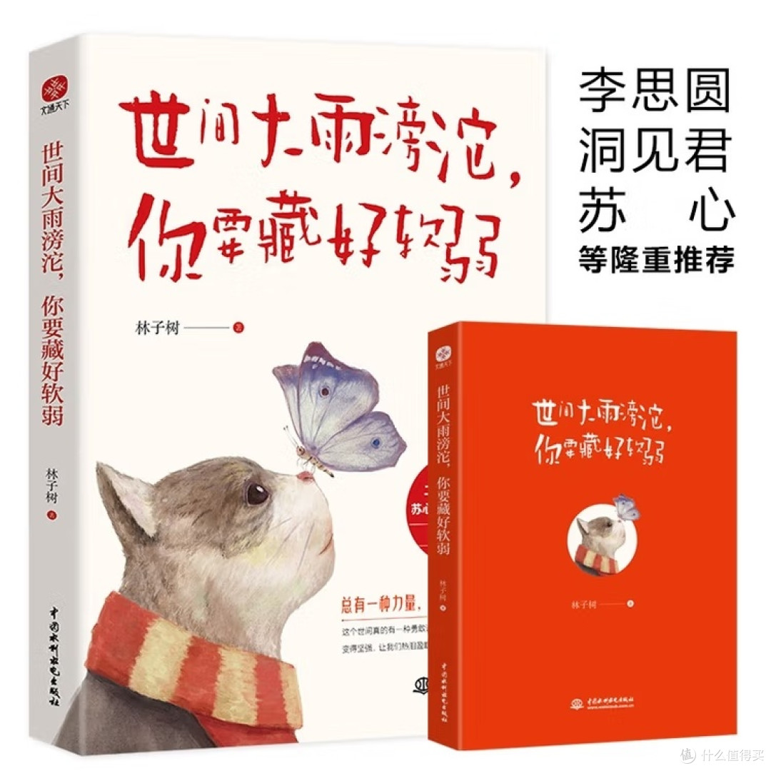 风雨中成长的智慧