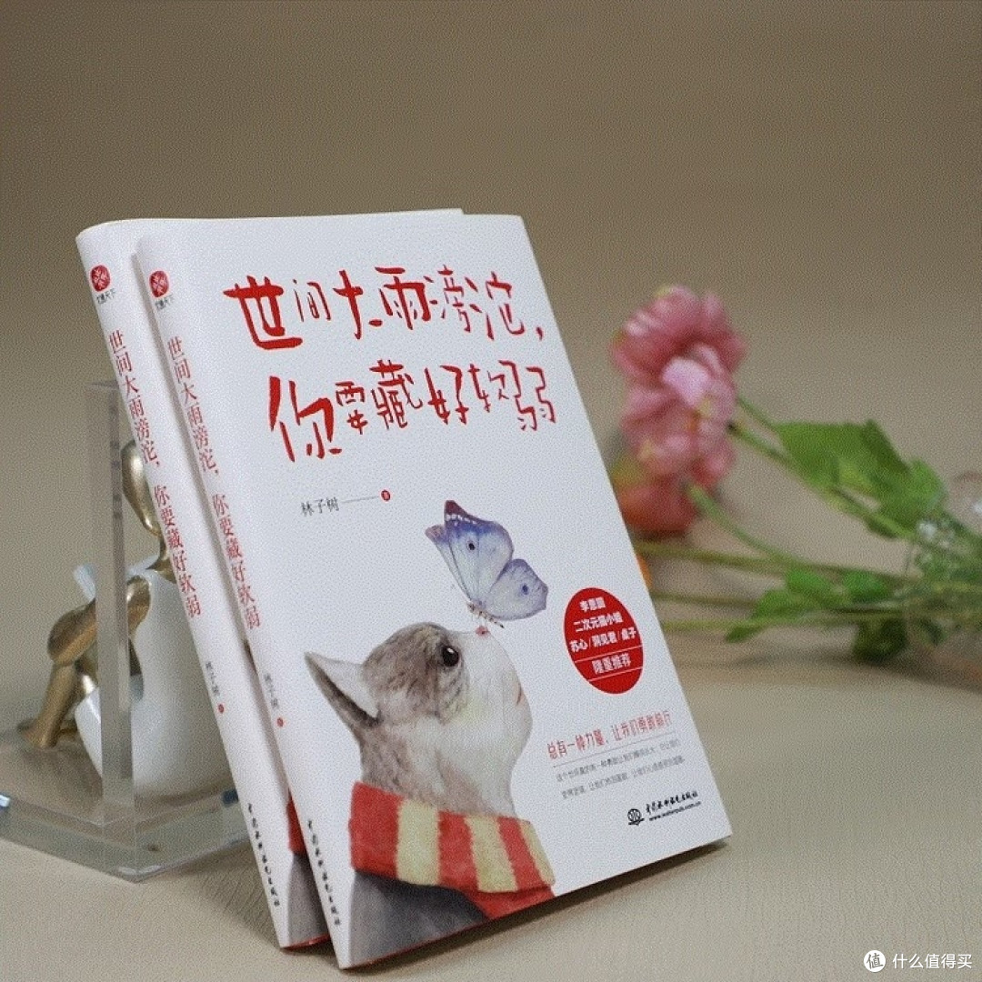 风雨中成长的智慧