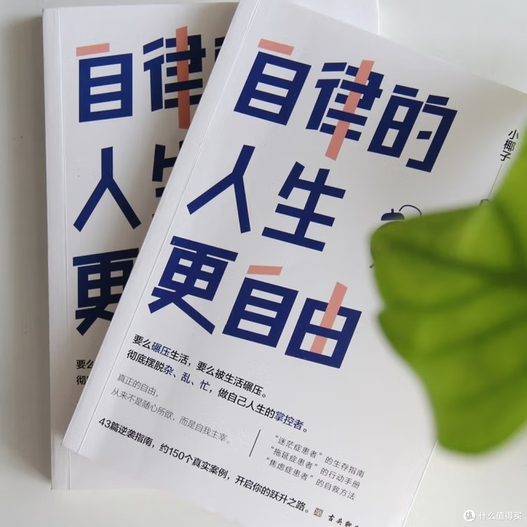 自律的人生更自由:从失控到掌控