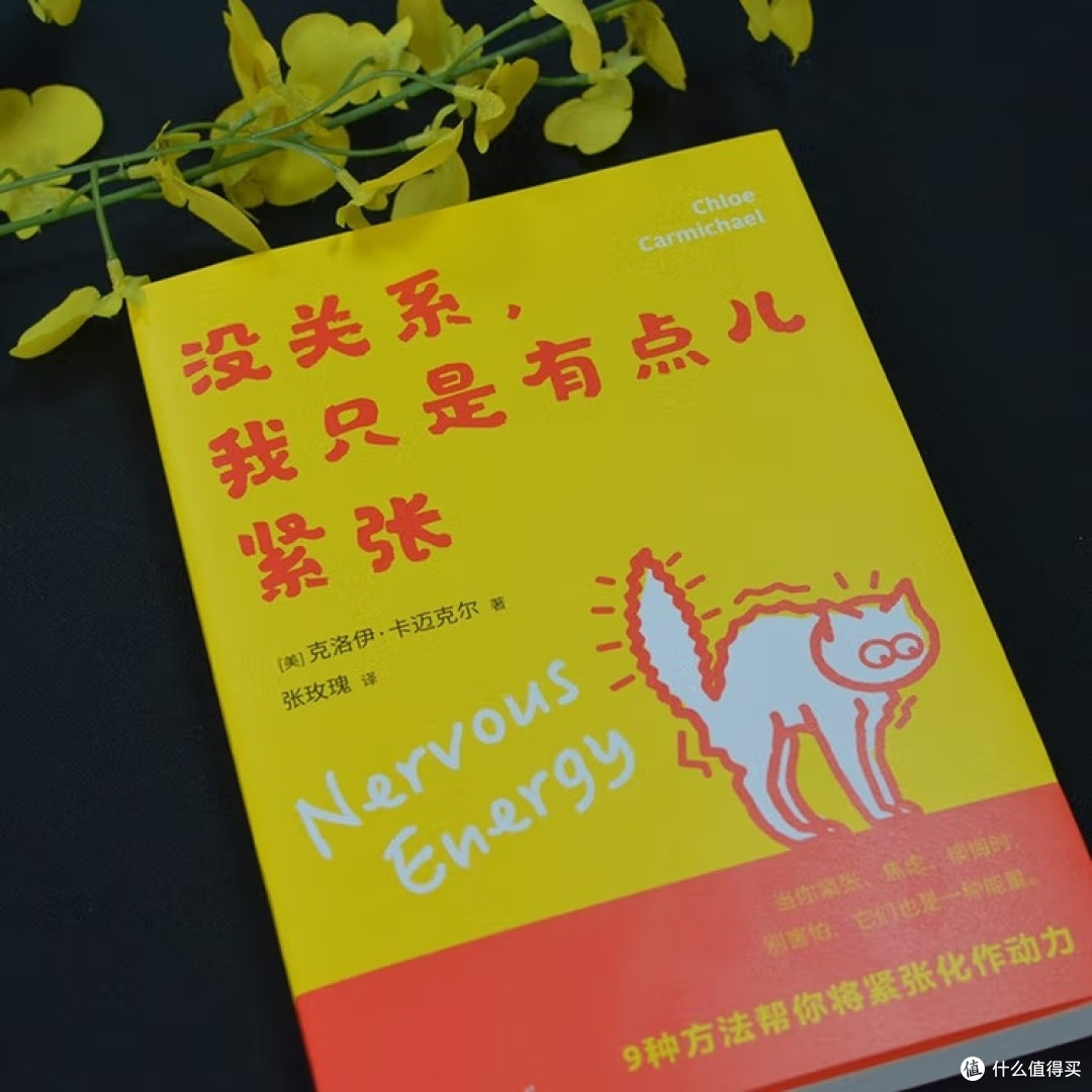 焦虑转化为能量的实用指南