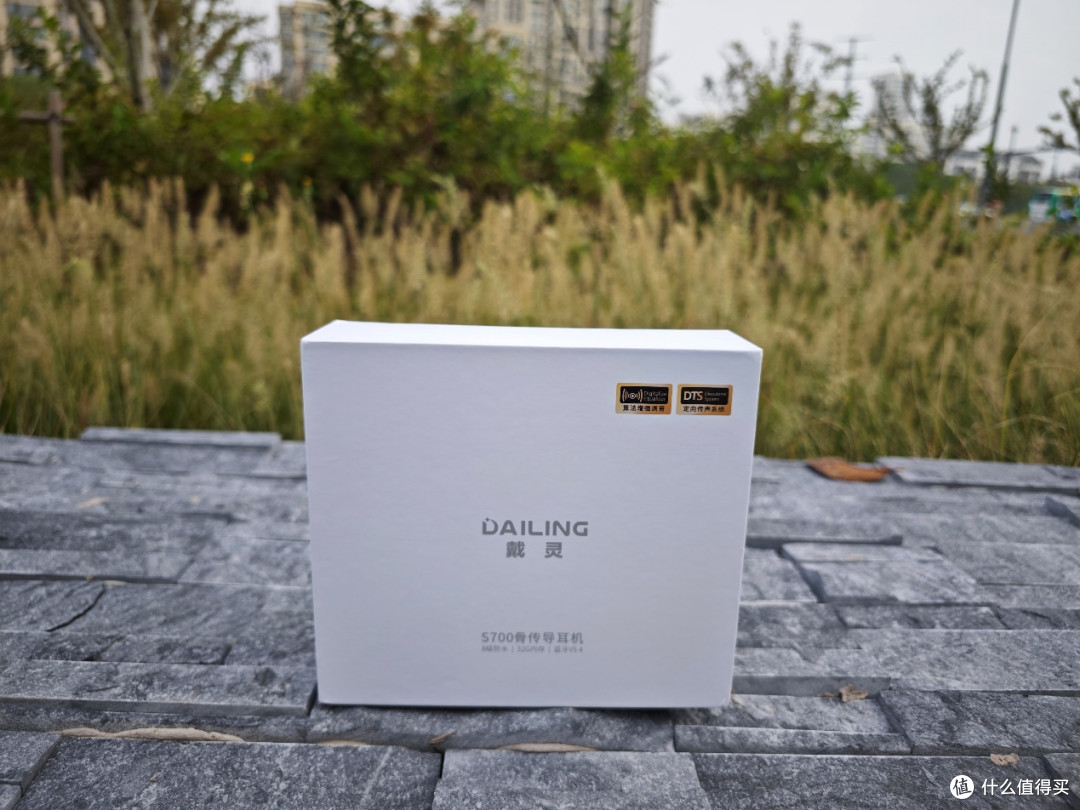 双11选耳机纠结?百元价位戴灵S700骨传导蓝牙耳机值得入