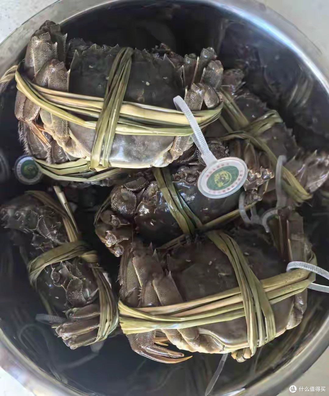 阳澄湖跌下神坛，新疆雪蟹抢跑秋天，你吃的真是“正宗”吗？