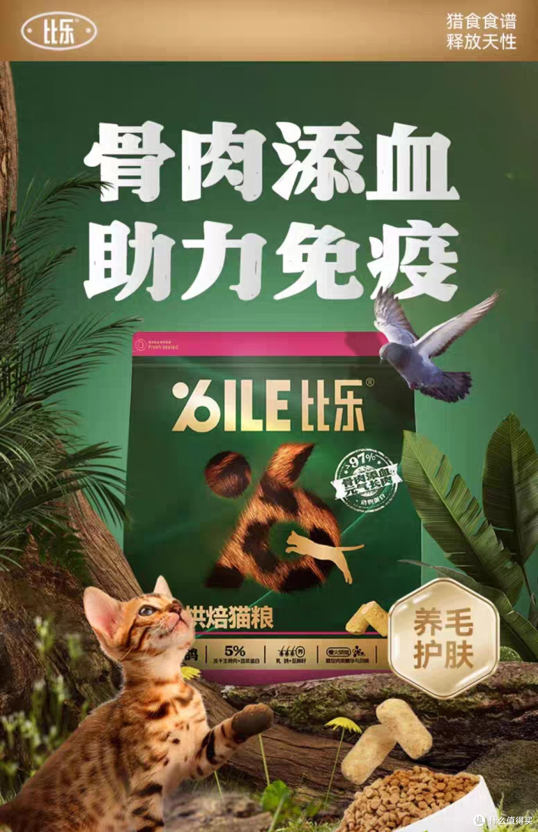 双十一比乐猫粮省钱攻略