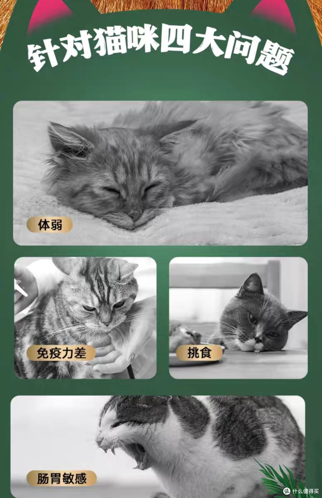 双十一比乐猫粮省钱攻略