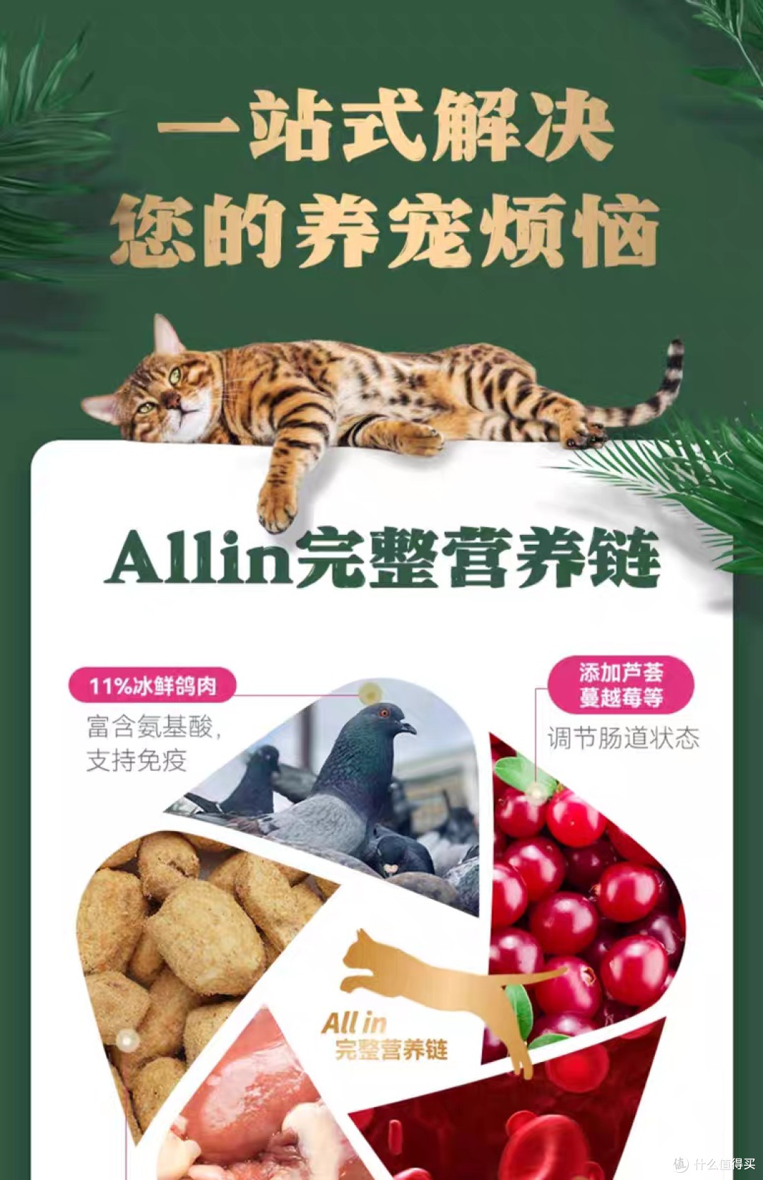 双十一比乐猫粮省钱攻略