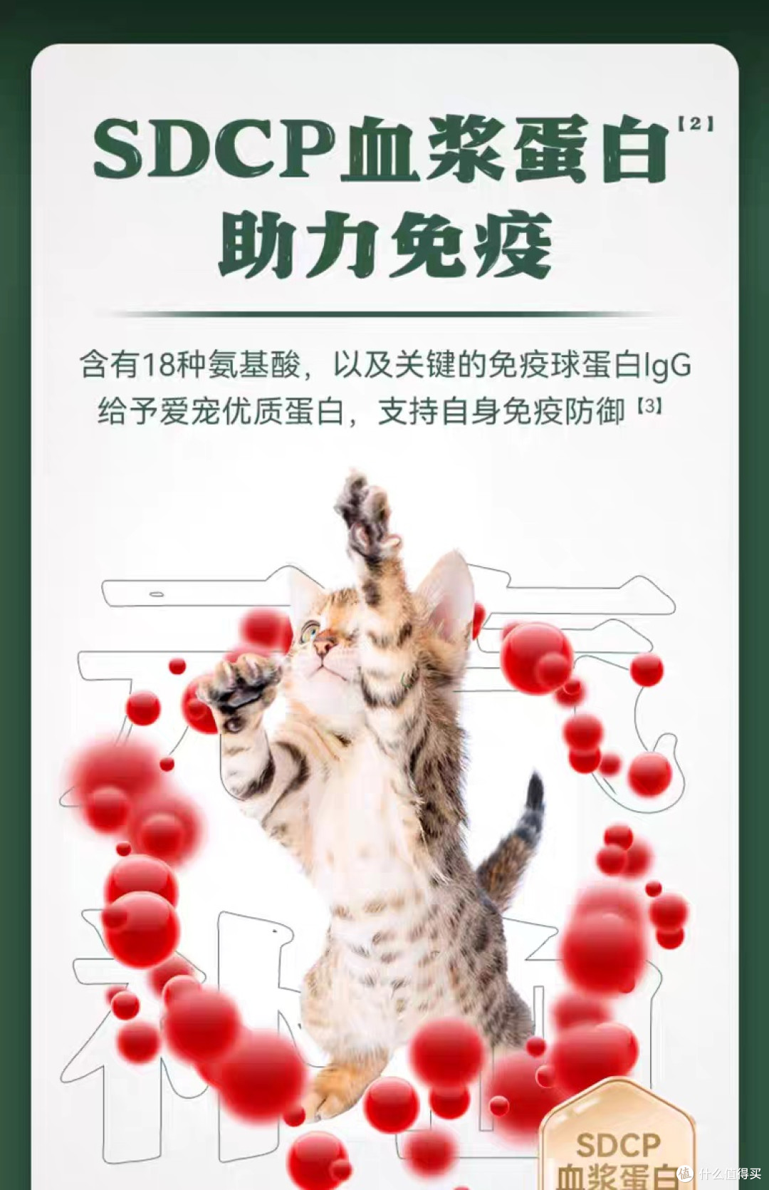 双十一比乐猫粮省钱攻略