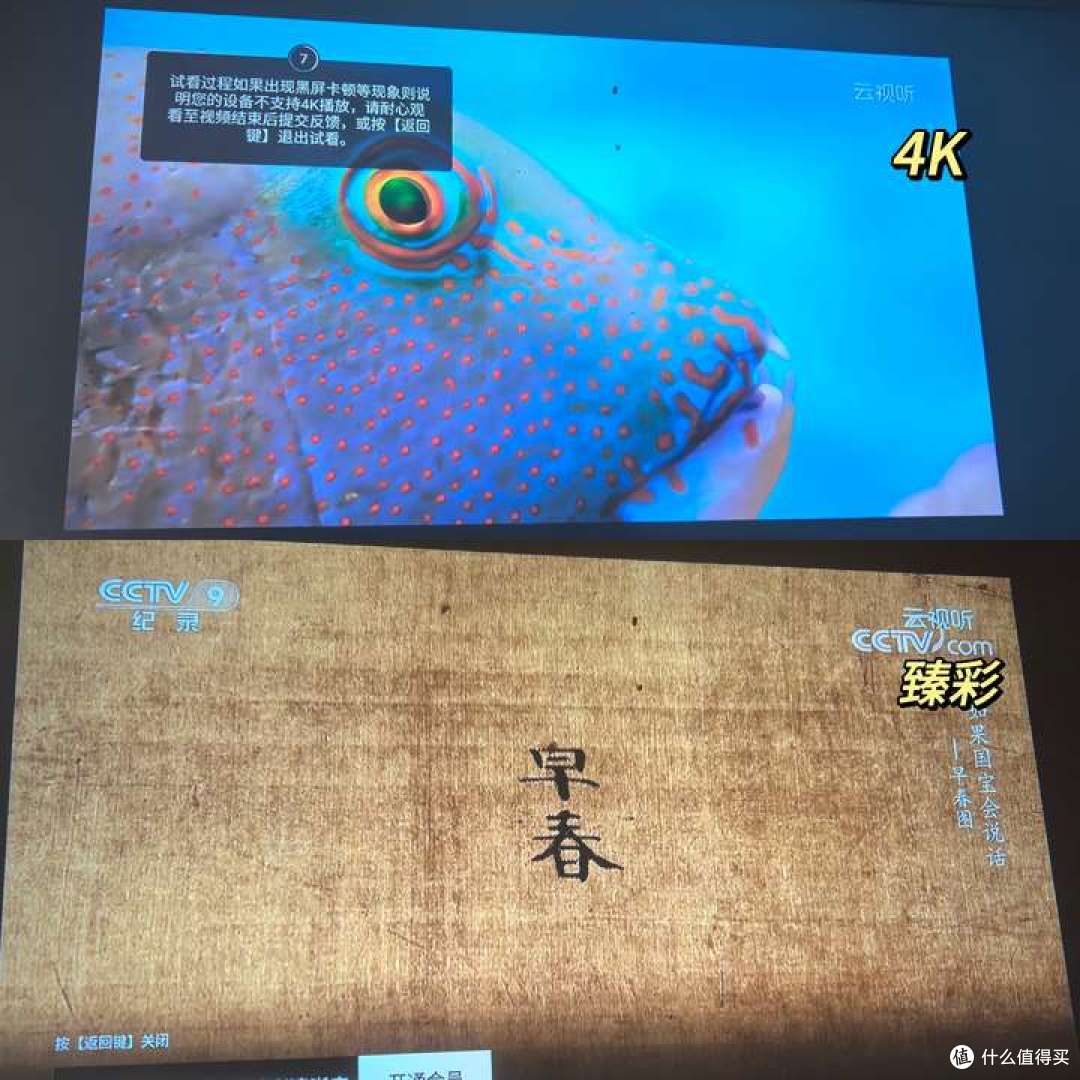双11活动攻略||2025年双十一什么时候开始的?附:购物清单