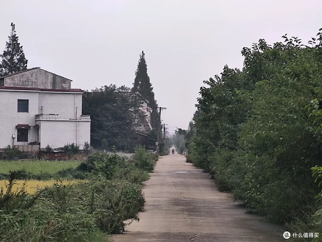 十一闲游湖南岳阳