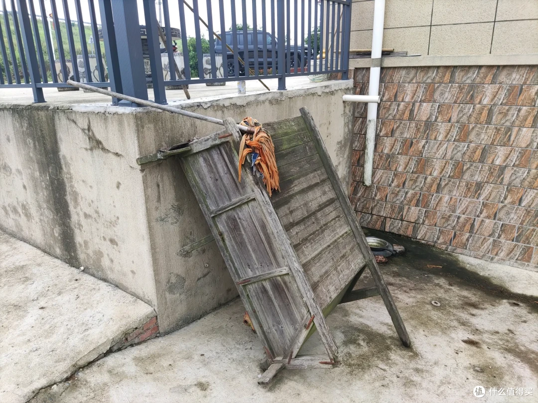 十一闲游湖南岳阳