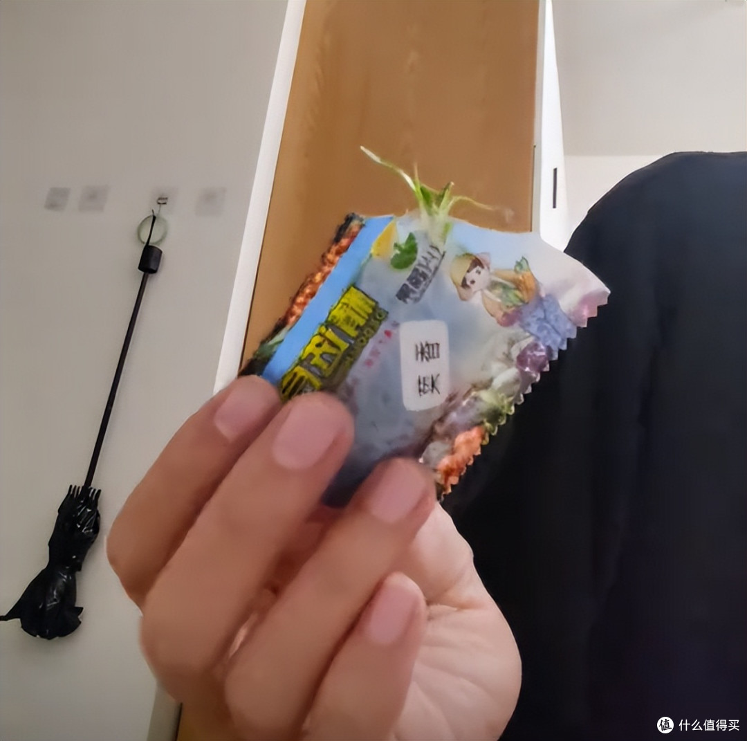 杭州一小伙吐槽:种的菜发霉了,没种的反而发芽了?网友:人才~