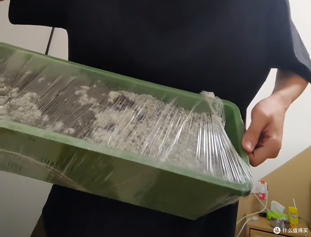 杭州一小伙吐槽:种的菜发霉了,没种的反而发芽了?网友:人才~