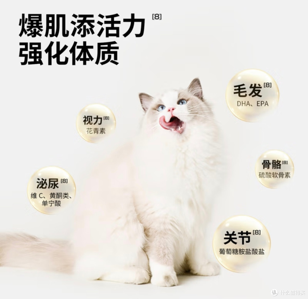 双11猫咪囤货攻略:新手不踩坑,认准同品牌更安心