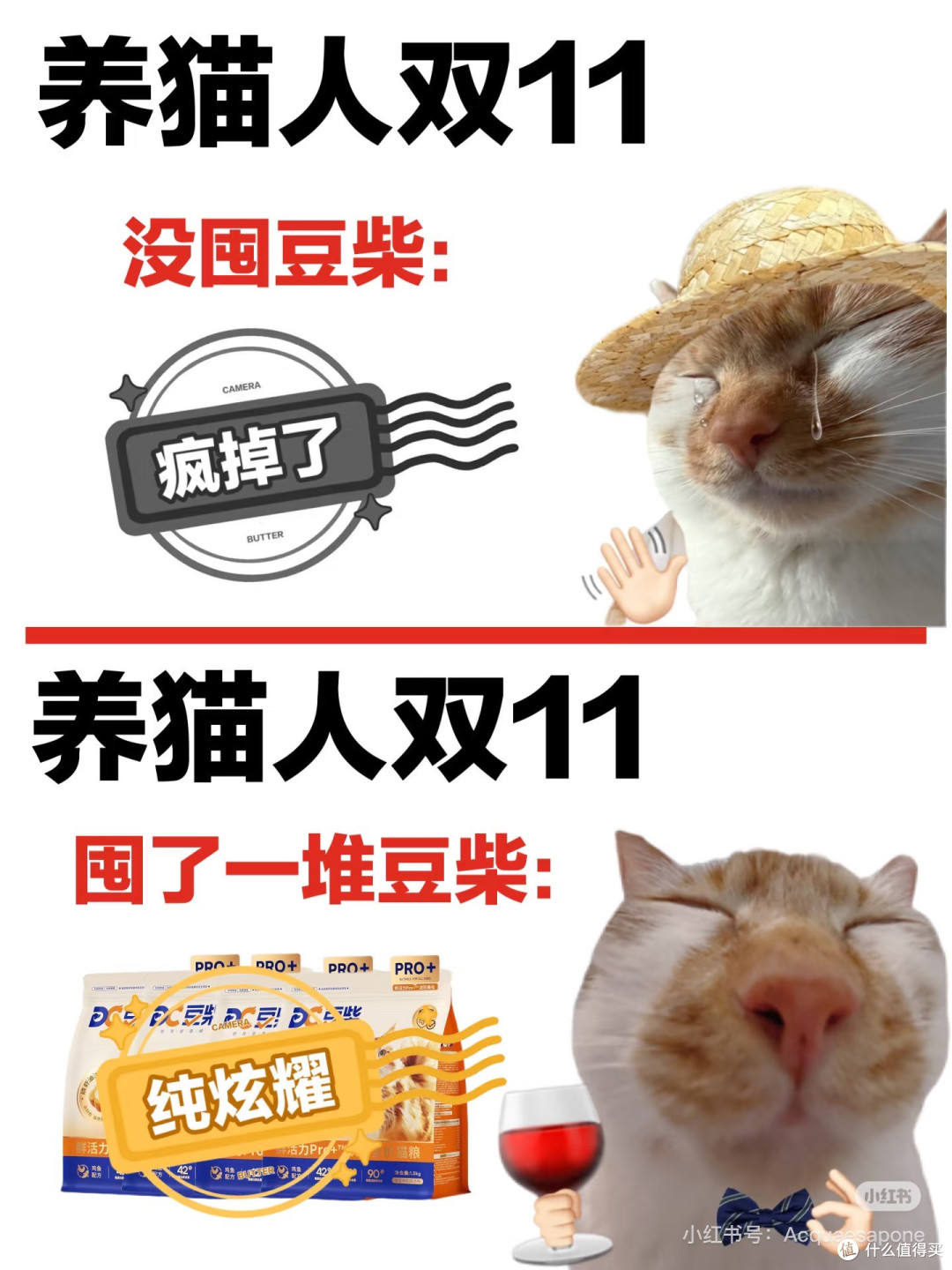 双11省钱囤粮抢先看!直击小猫心巴💥