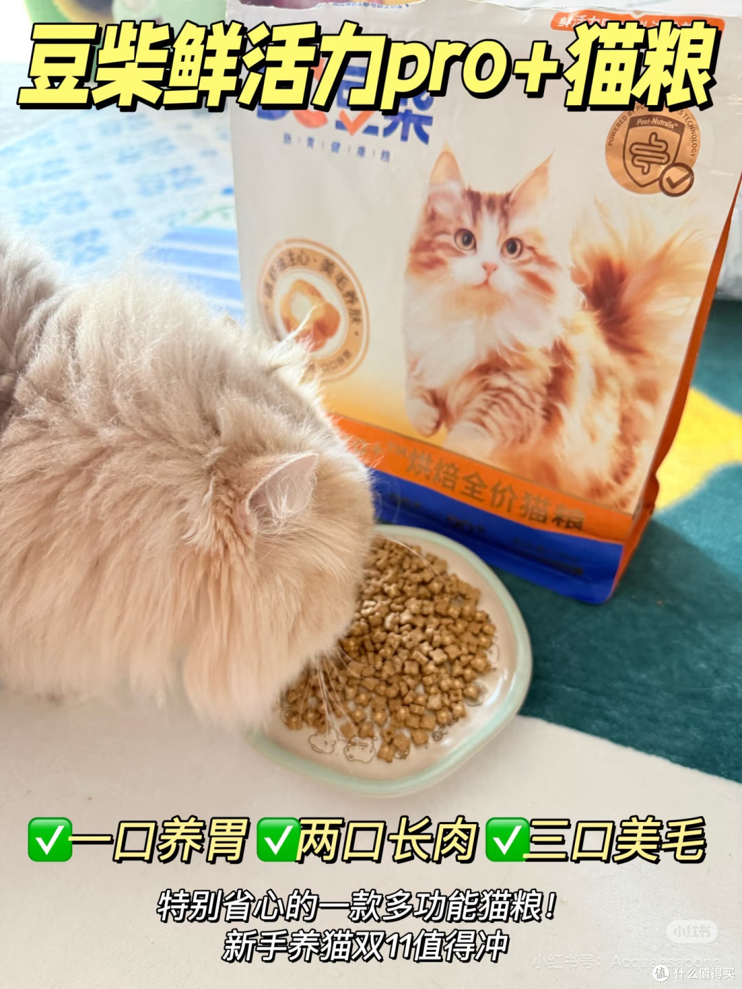 双11省钱囤粮抢先看!直击小猫心巴💥