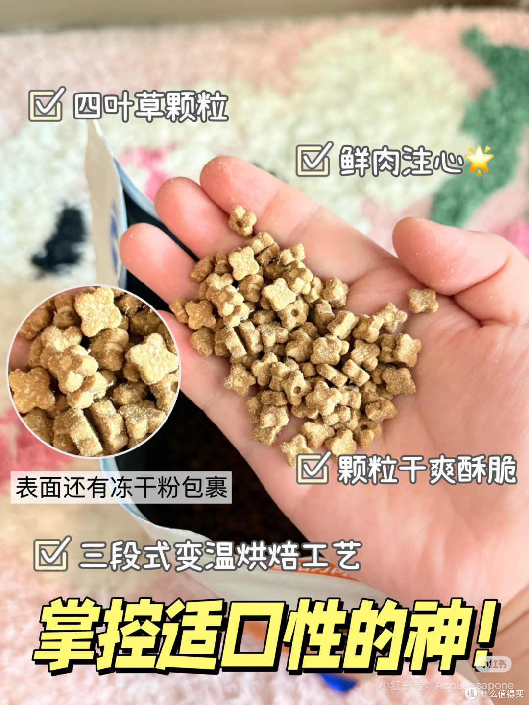 双11省钱囤粮抢先看!直击小猫心巴💥