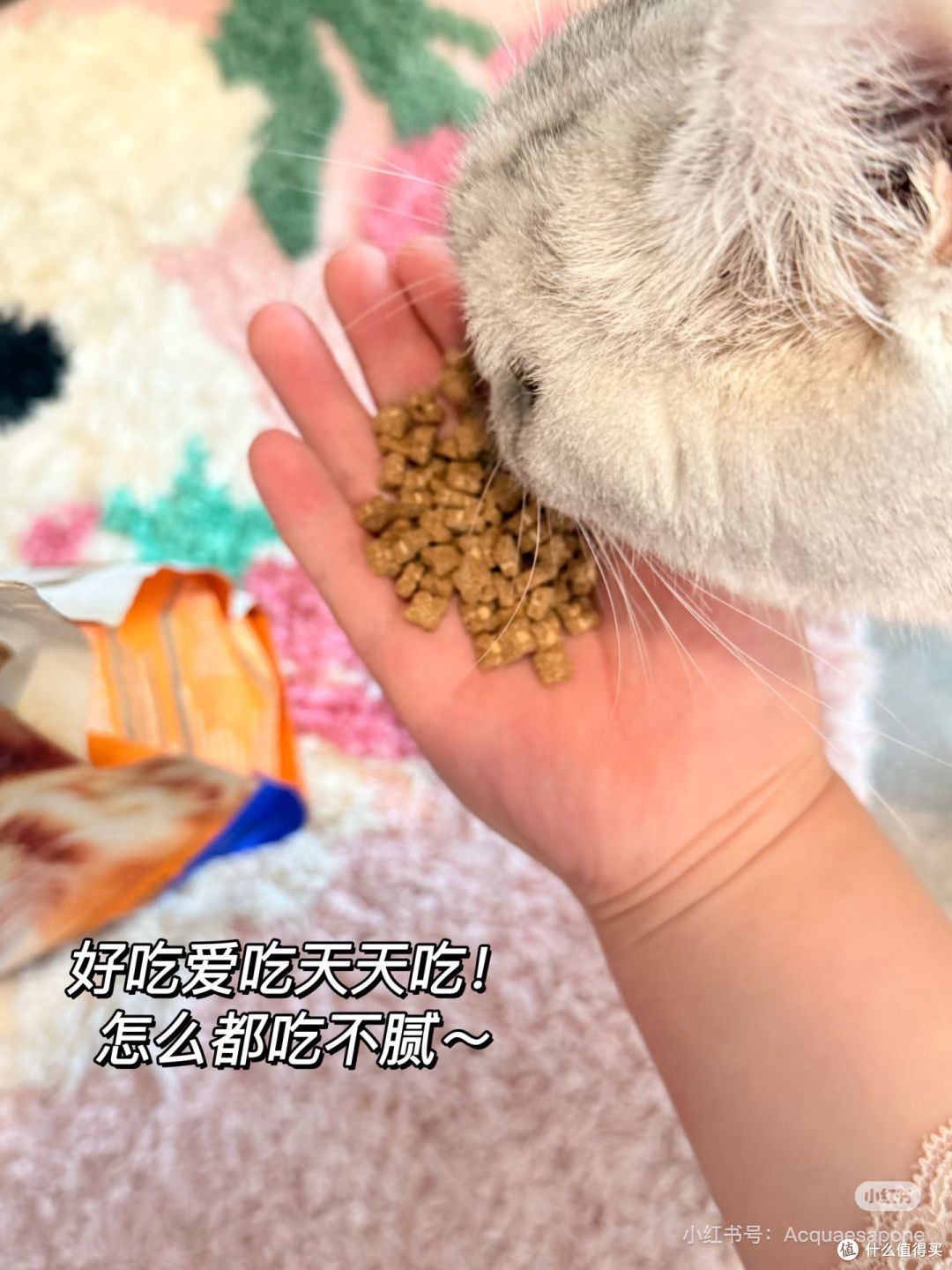 双11省钱囤粮抢先看!直击小猫心巴💥