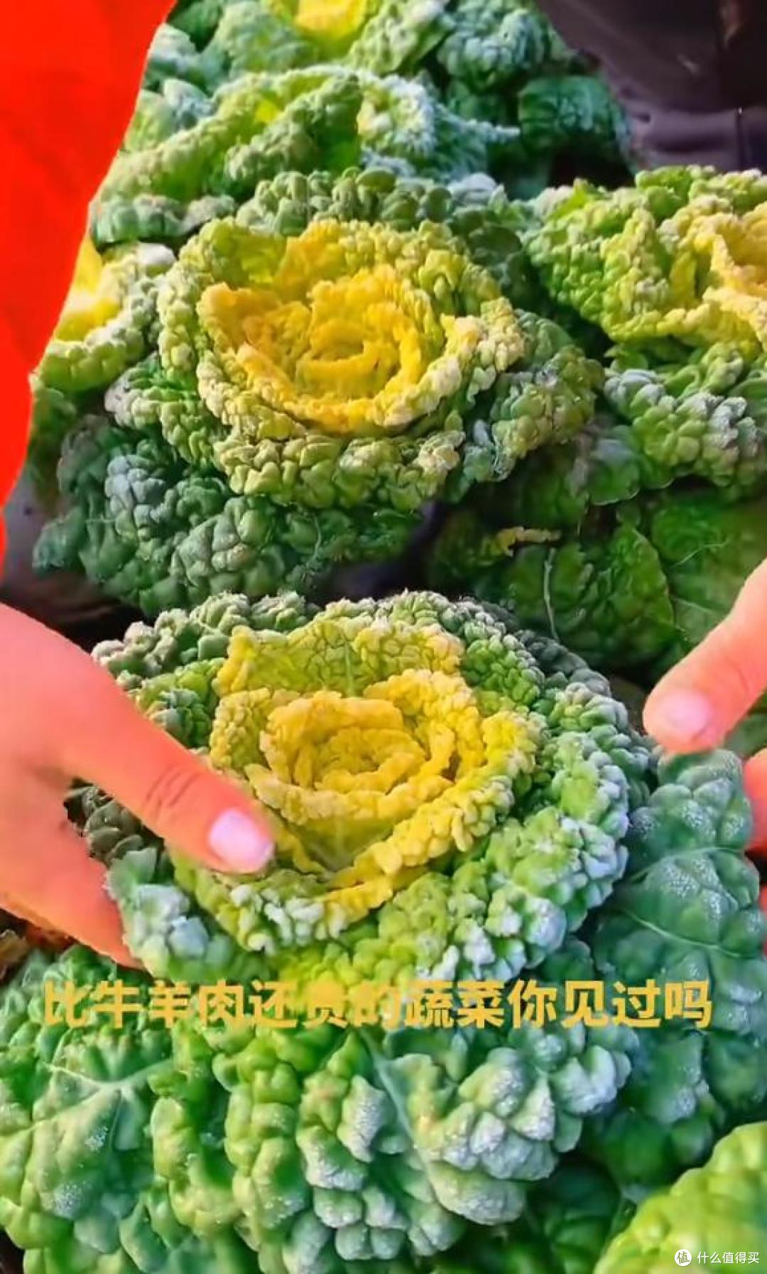 女子晒别人种的菜,是我“羡慕不来的种菜天赋”,网友:牛,好卷