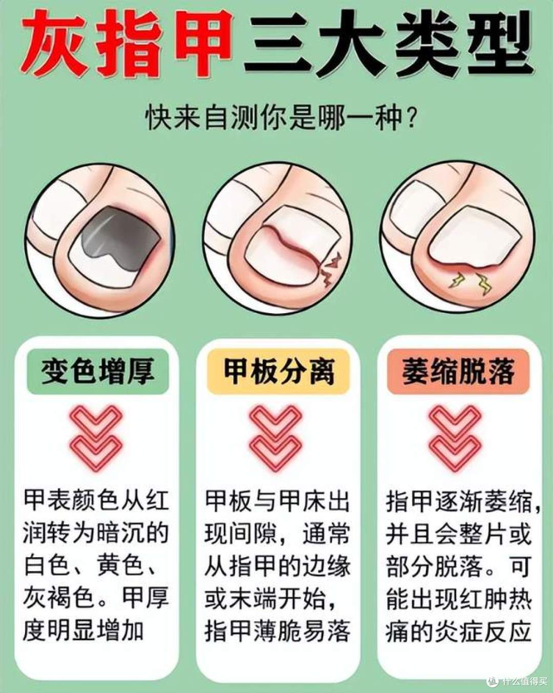 灰甲的三种类型，以及平时最优护理方法！