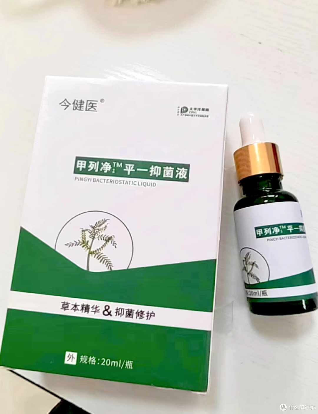 灰甲的三种类型，以及平时最优护理方法！