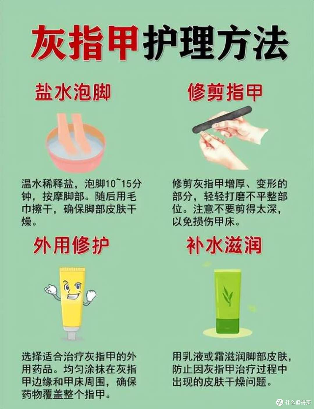 灰甲的三种类型，以及平时最优护理方法！