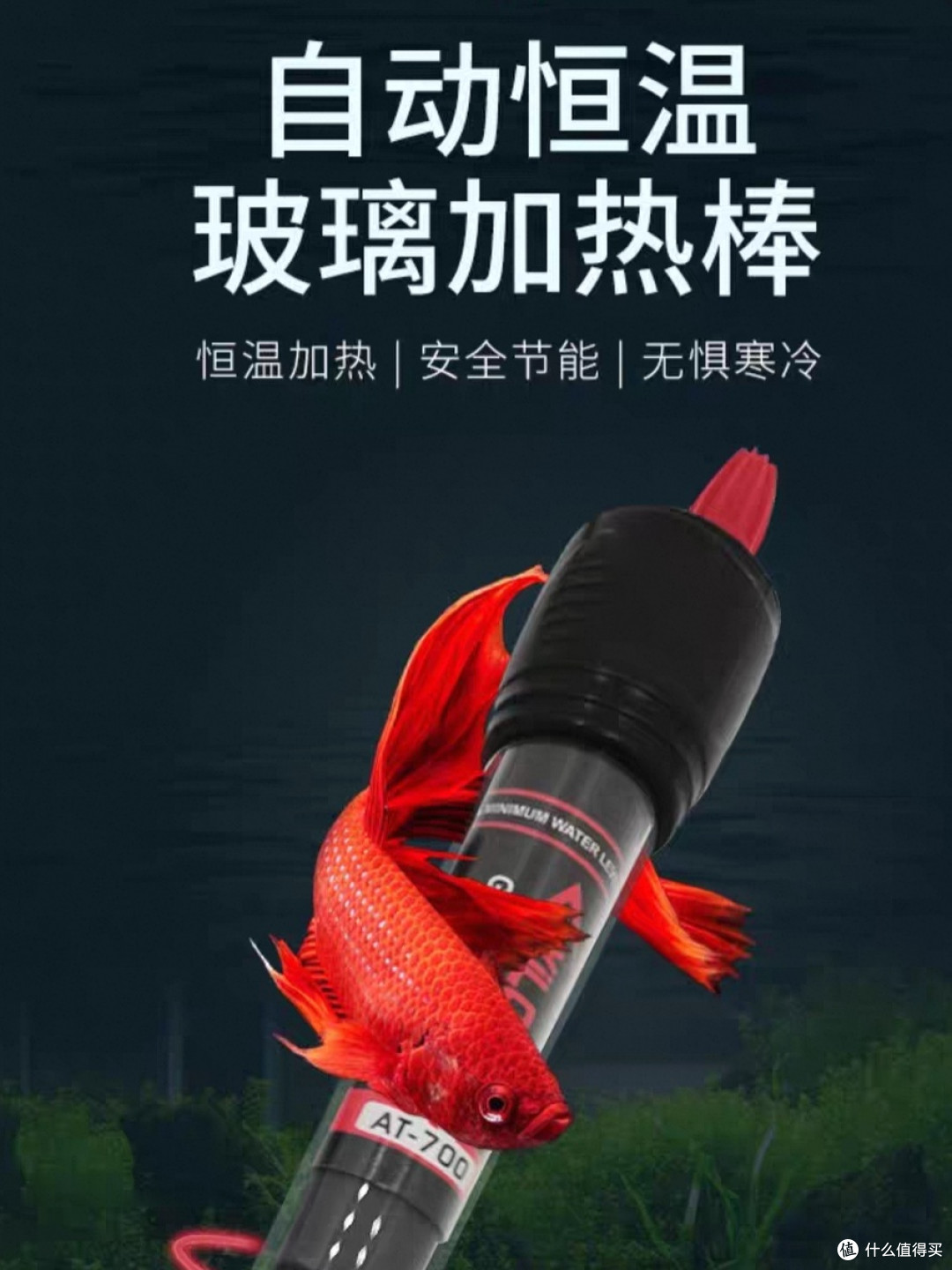 双 11 养鱼抄作业！6款新手入门懒人好物，平价又实用