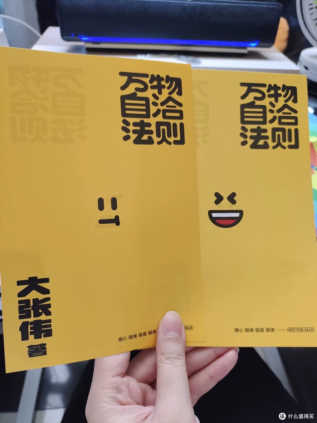 大张伟《万物自洽法则》：治愈力拉满