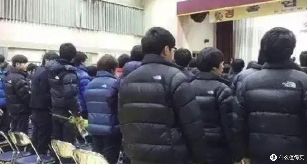 价格暴击,学生党直呼内行,从“全员北面”到“全班骆驼”