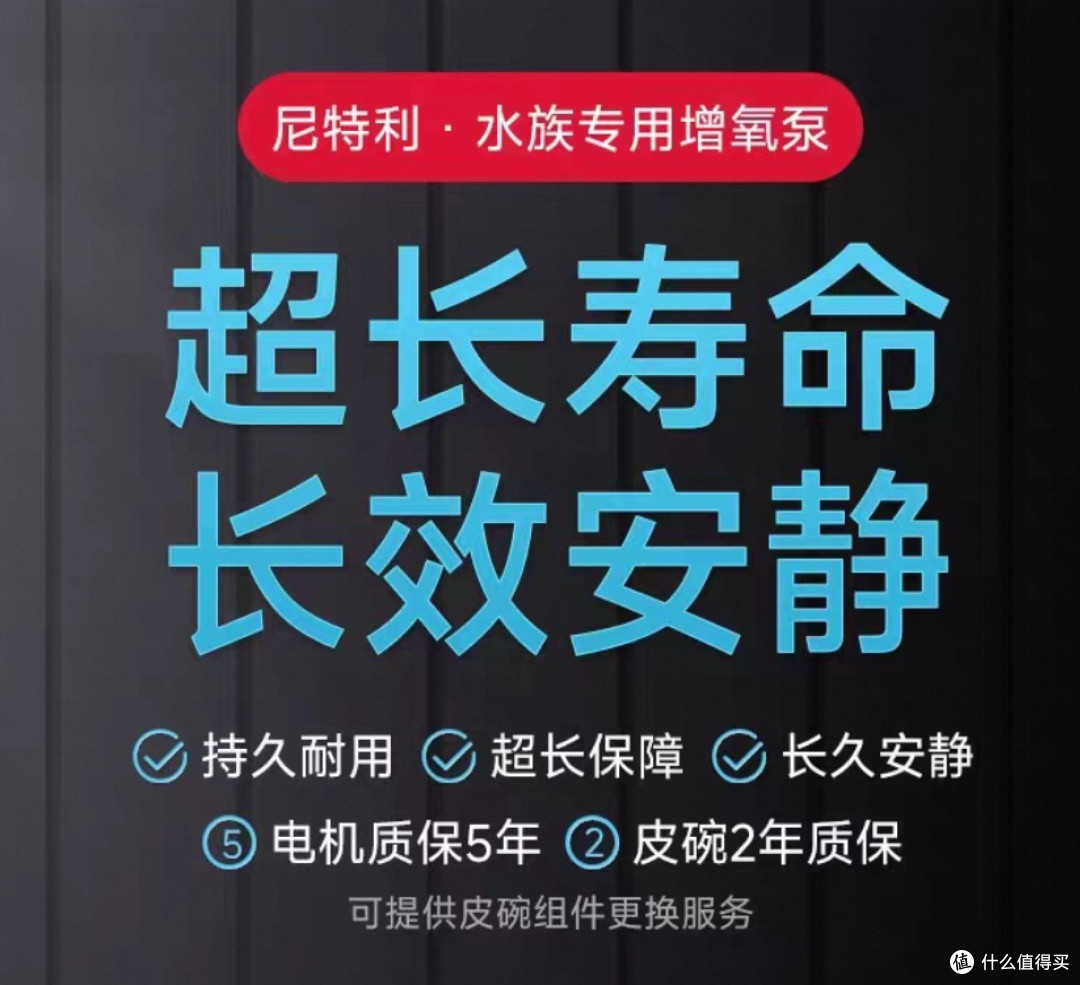 双 11 养鱼抄作业！6款新手入门懒人好物，平价又实用