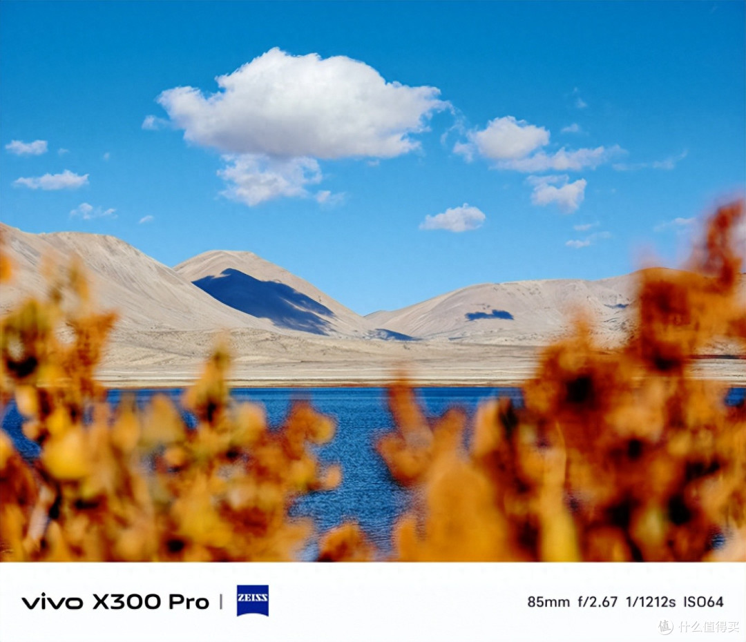 vivo X300 Pro年度影像之王，Live Photo再迎新玩法