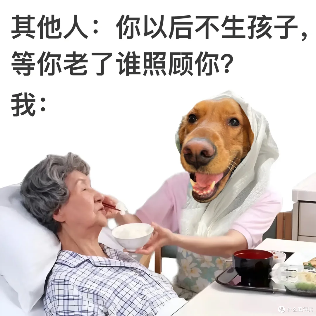 陪伴，从一碗“懂它”的粮开始：如何守护老年猫狗的黄金十年