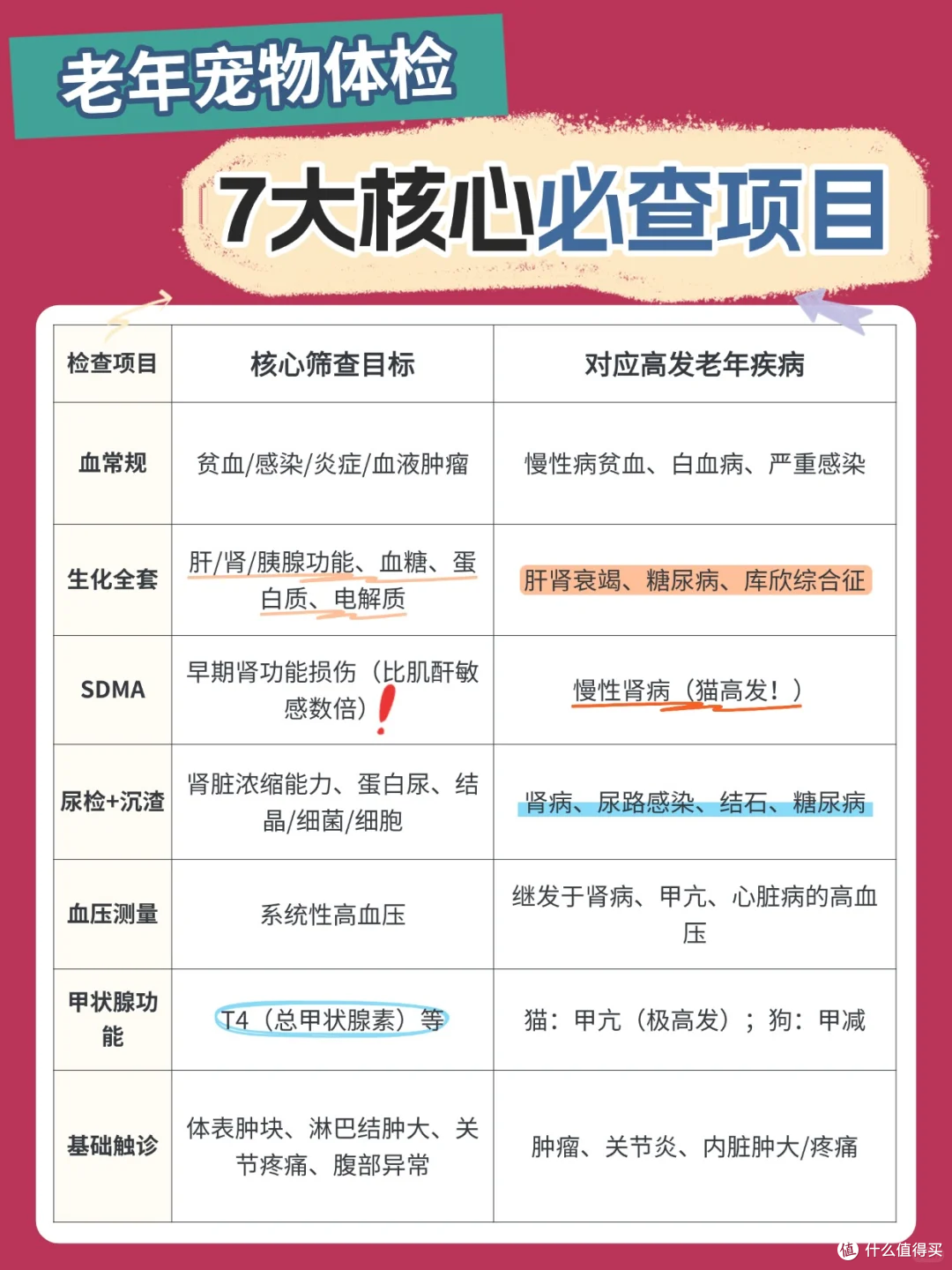 陪伴，从一碗“懂它”的粮开始：如何守护老年猫狗的黄金十年