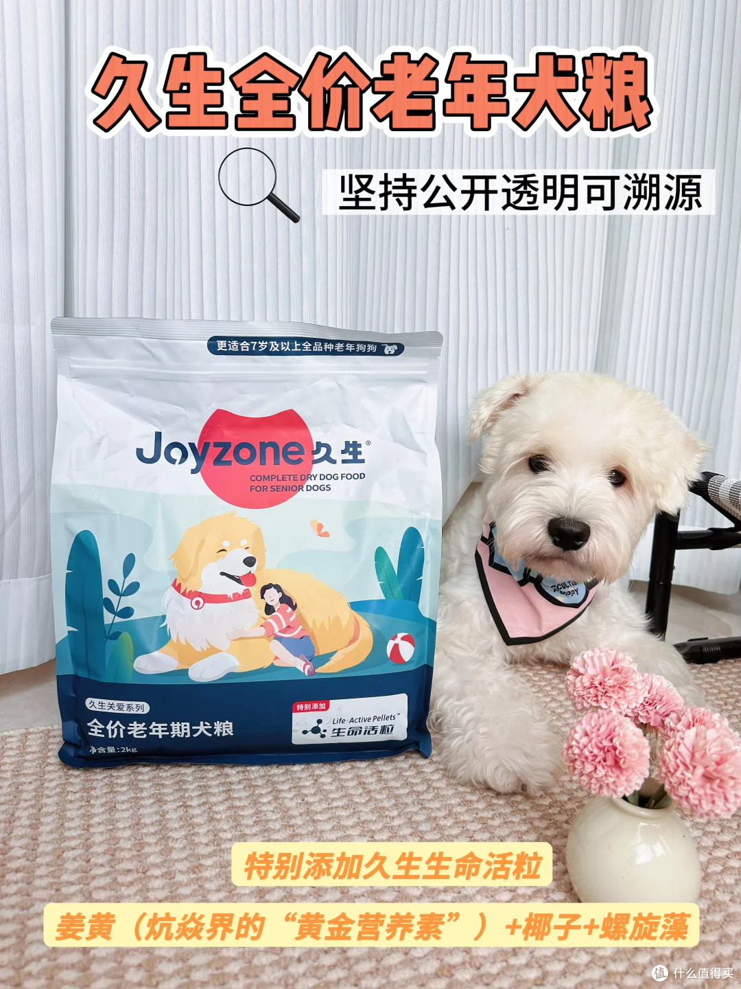 陪伴，从一碗“懂它”的粮开始：如何守护老年猫狗的黄金十年
