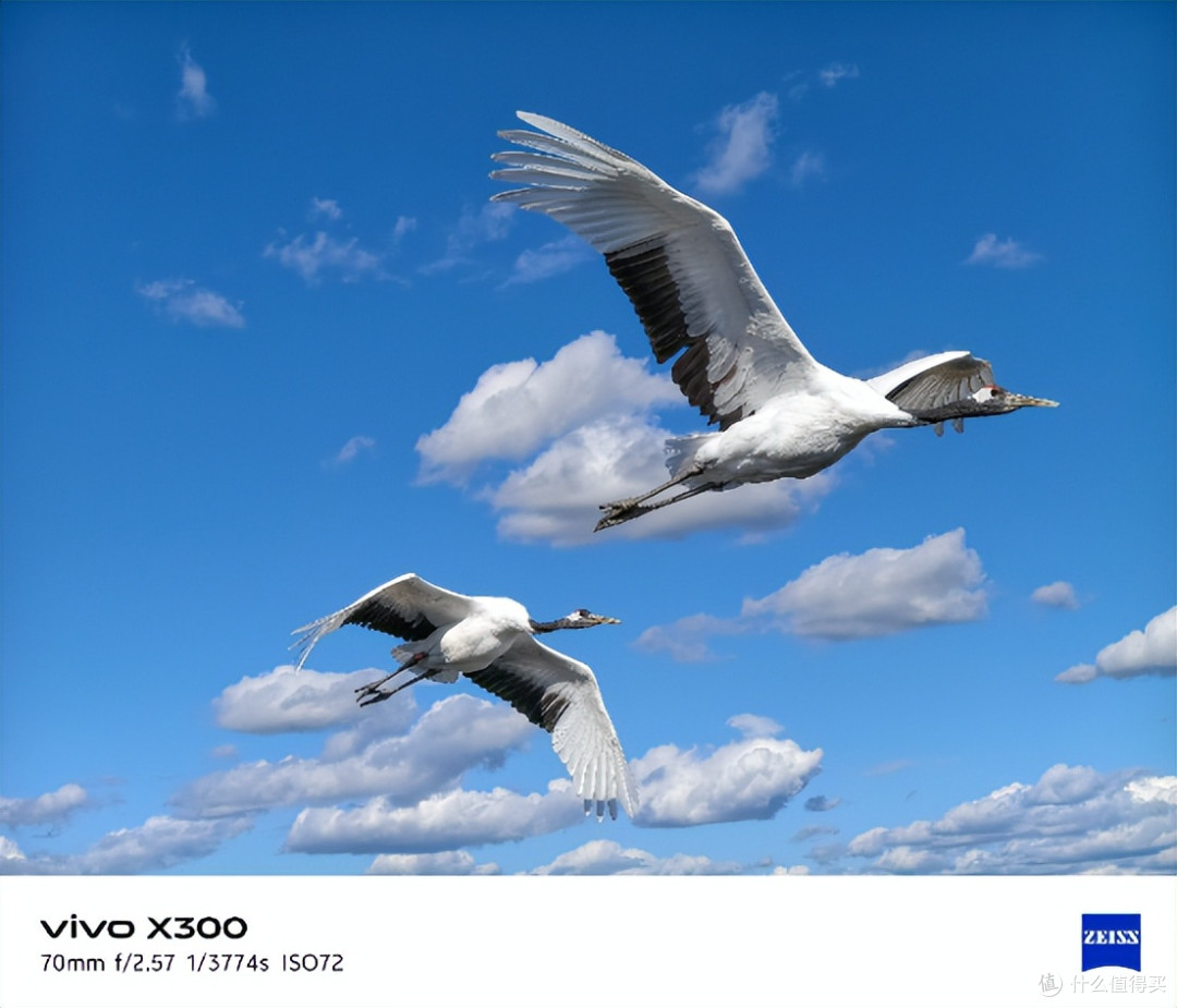 vivo X300影像体验,让每个瞬间都自带电影感